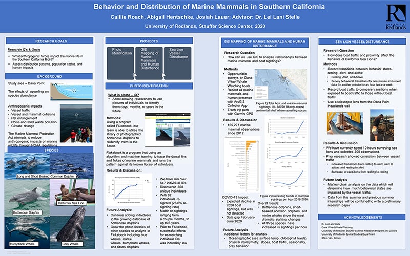 SSR 2020 Behavior and Distribution of Marine Mammals in Southern California.jpg