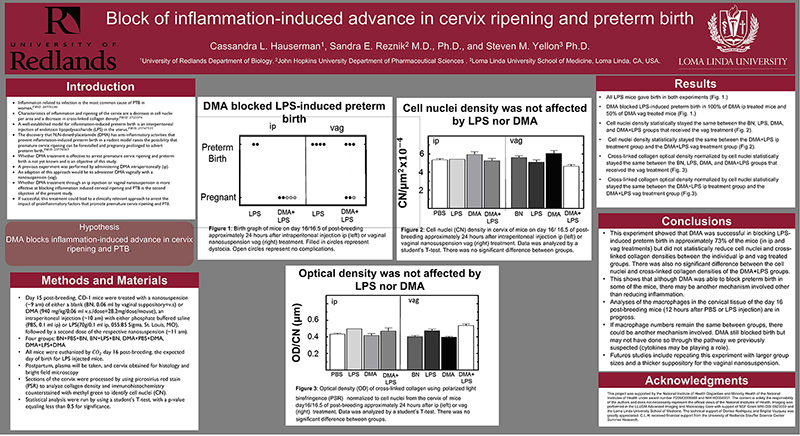 SSR 2020 Block of inflammation-induced advance in cervix ripening and preterm birth.jpg