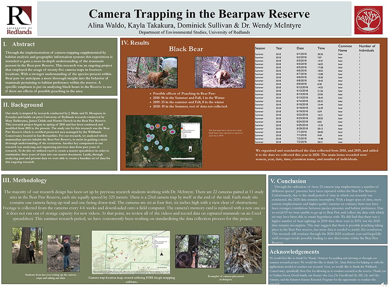 SSR 2020 Camera Trapping in the Bear Paw Reserve.jpg
