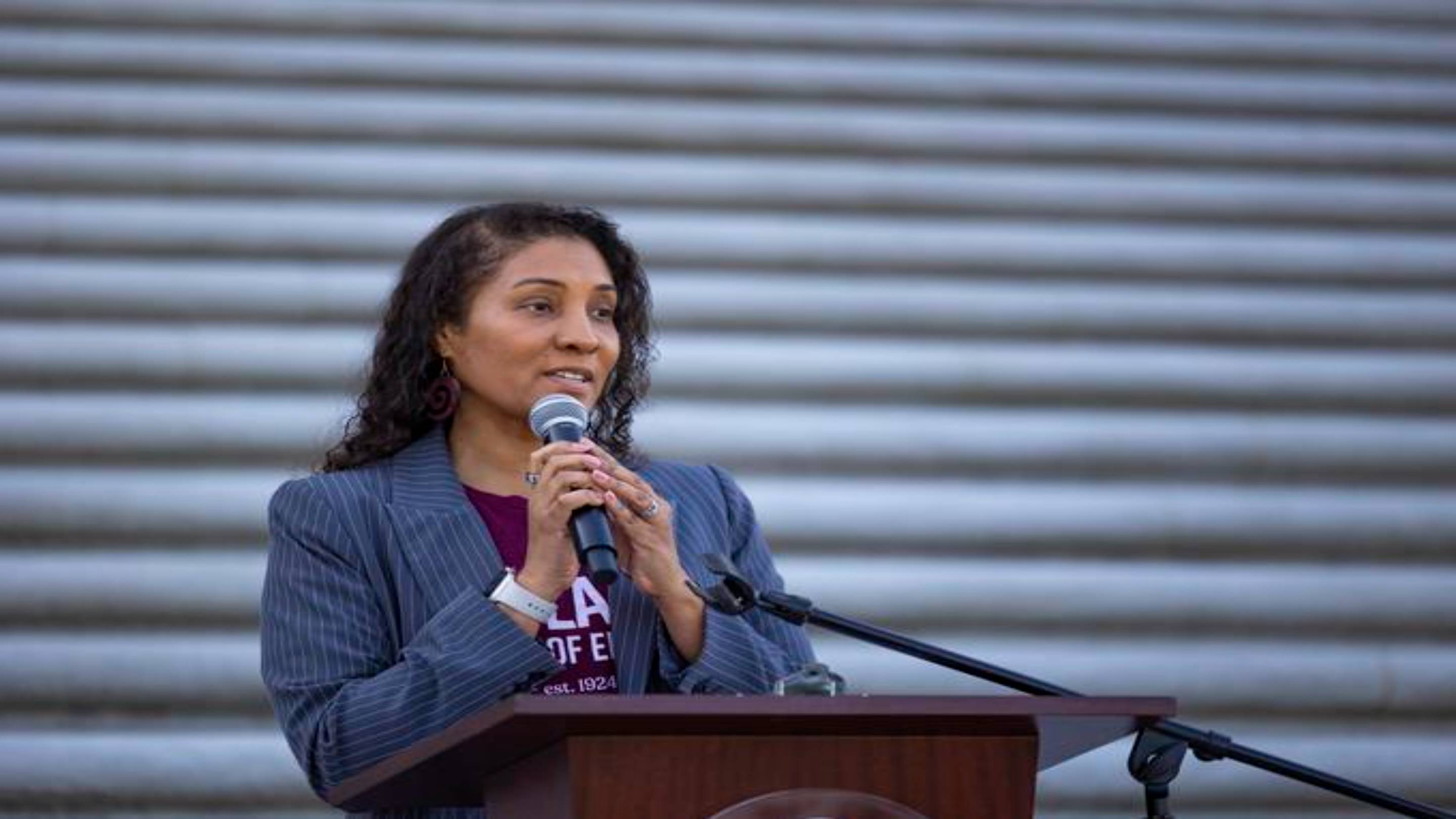 a person speaking into a microphone