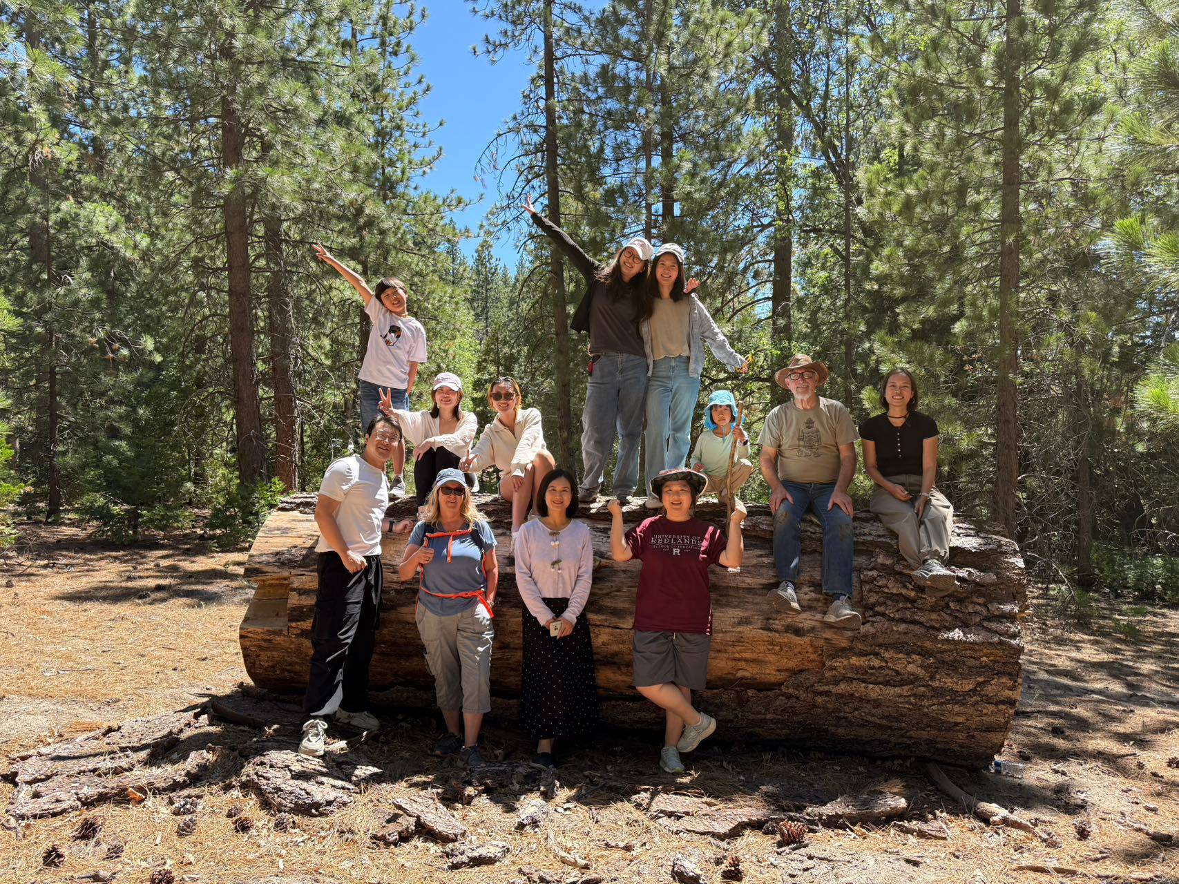a group of people posing for a photo on a log in the woods