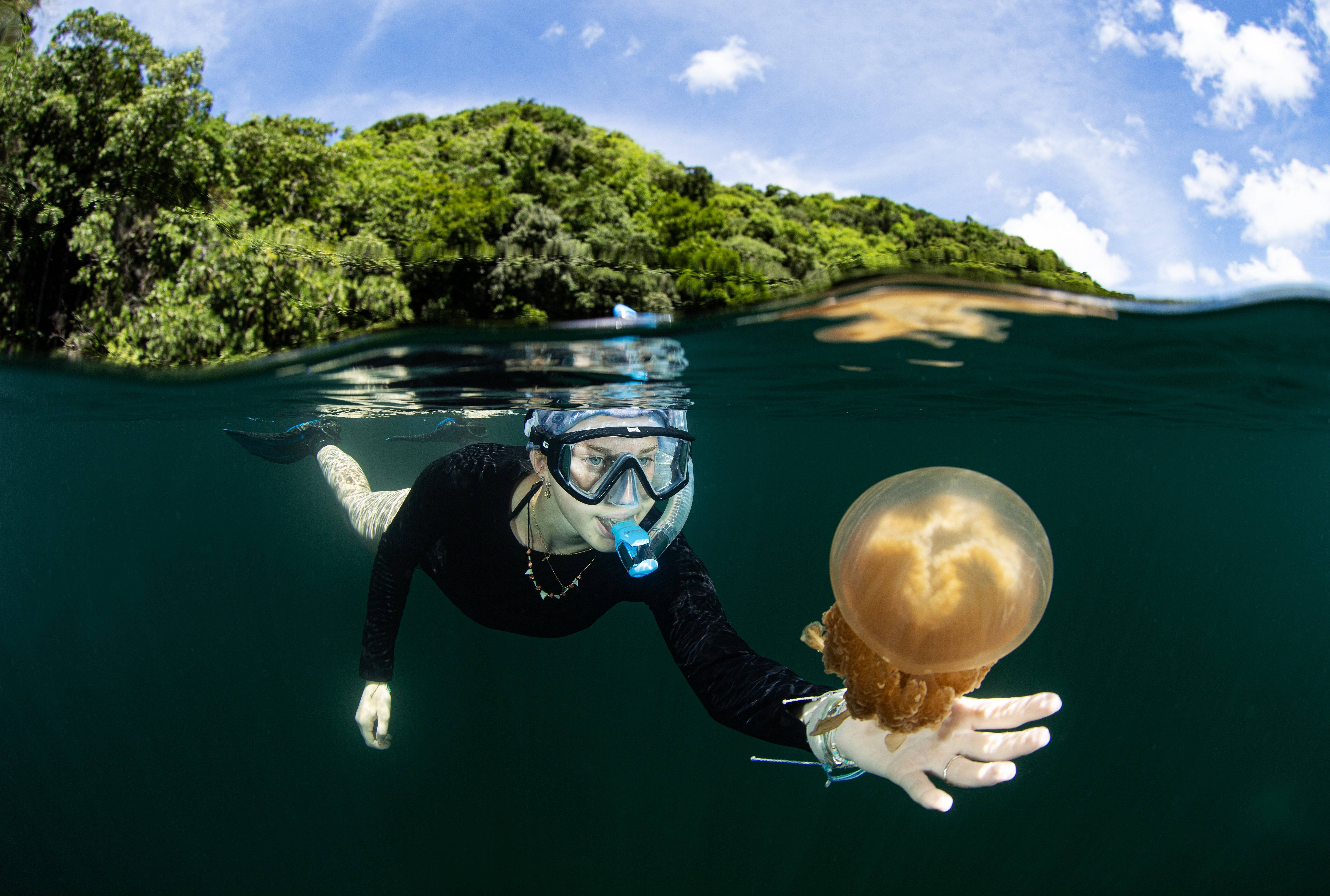 a person in a mask and goggles swimming in the water with a jellyfish