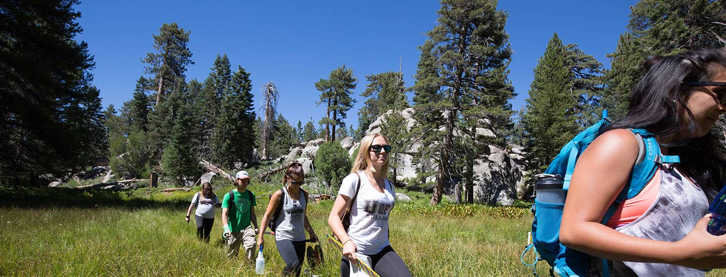 a group of people walking in a grassy area