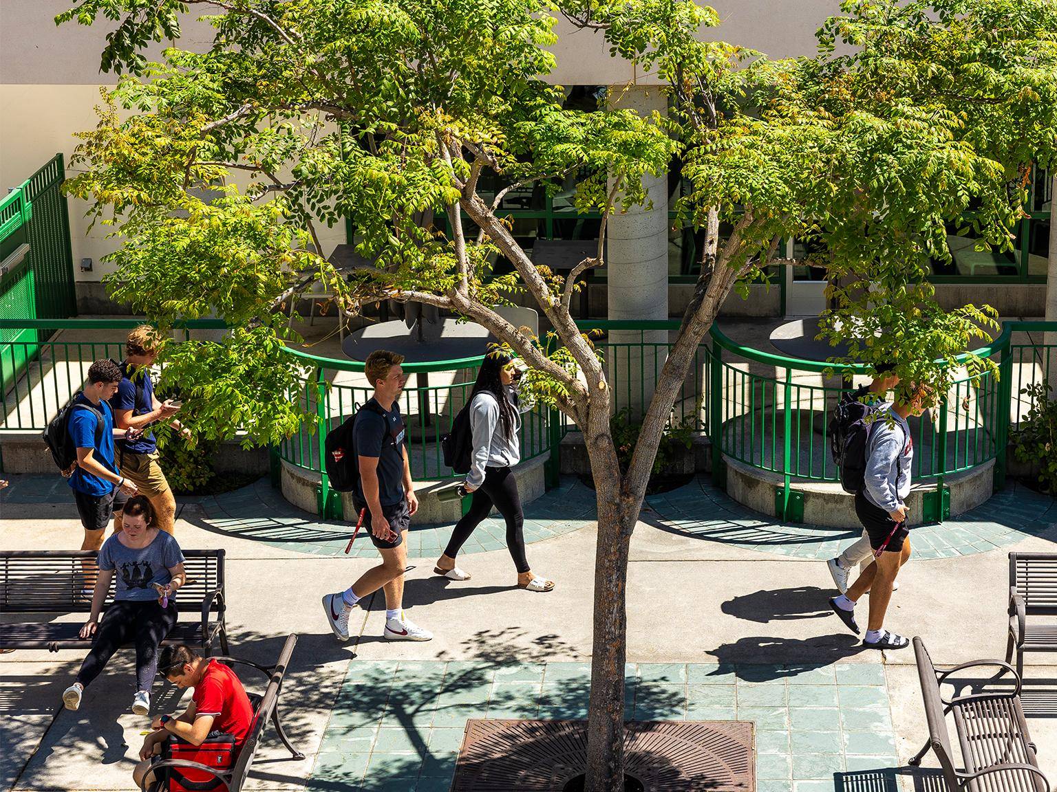 a group of people walking under a tree