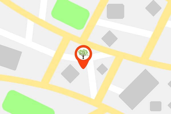 a map with a tree on it