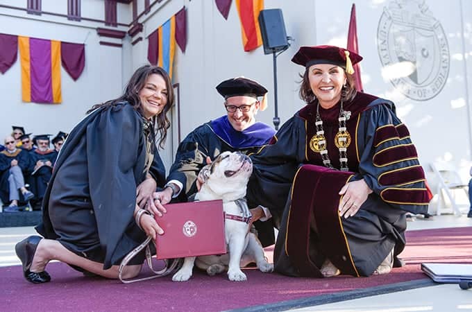 a group of people in graduation gowns and hats with a dog
