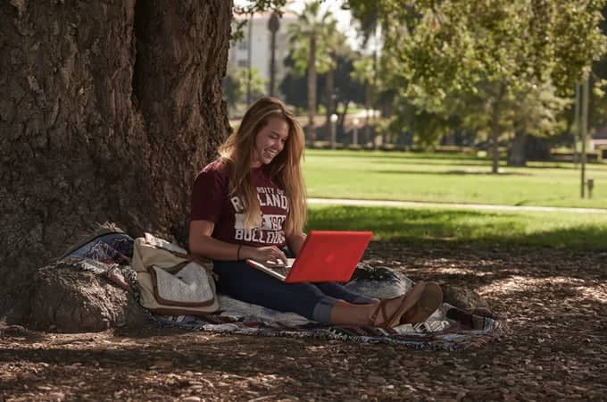 a person sitting under a tree using a laptop