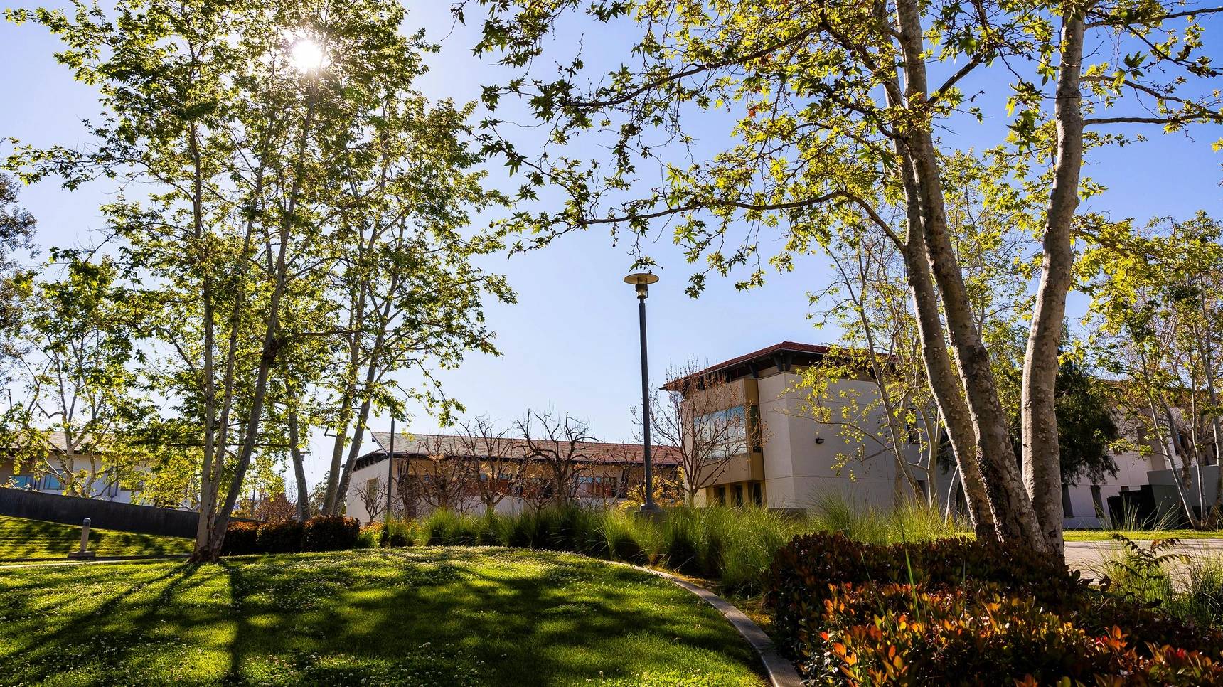 a building with trees and grass