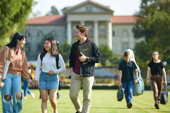 a group of people walking on a lawn