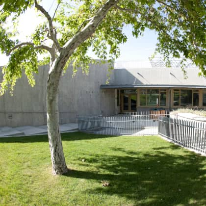 a tree in front of a building