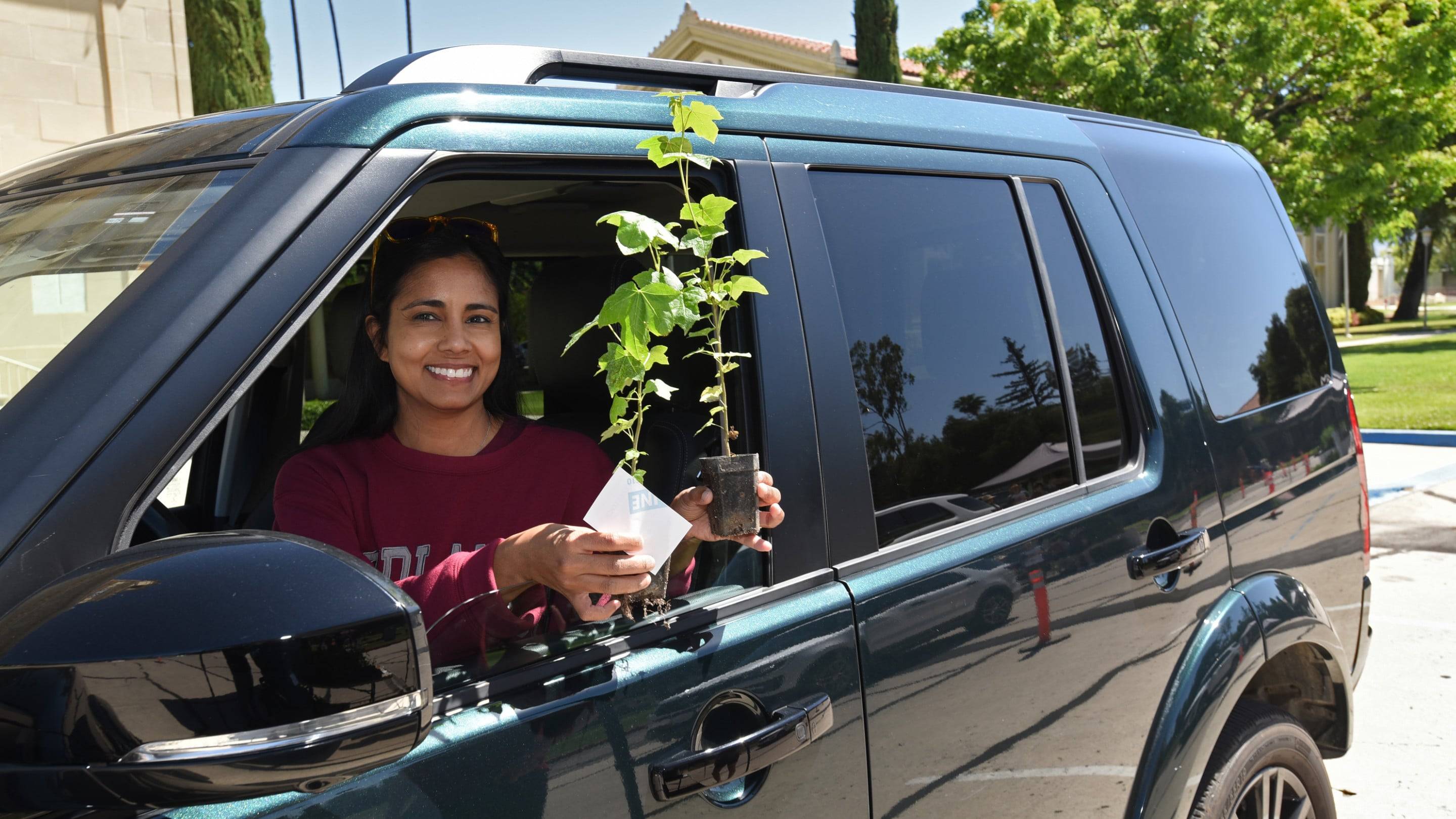 a person holding a plant in the window of a car
