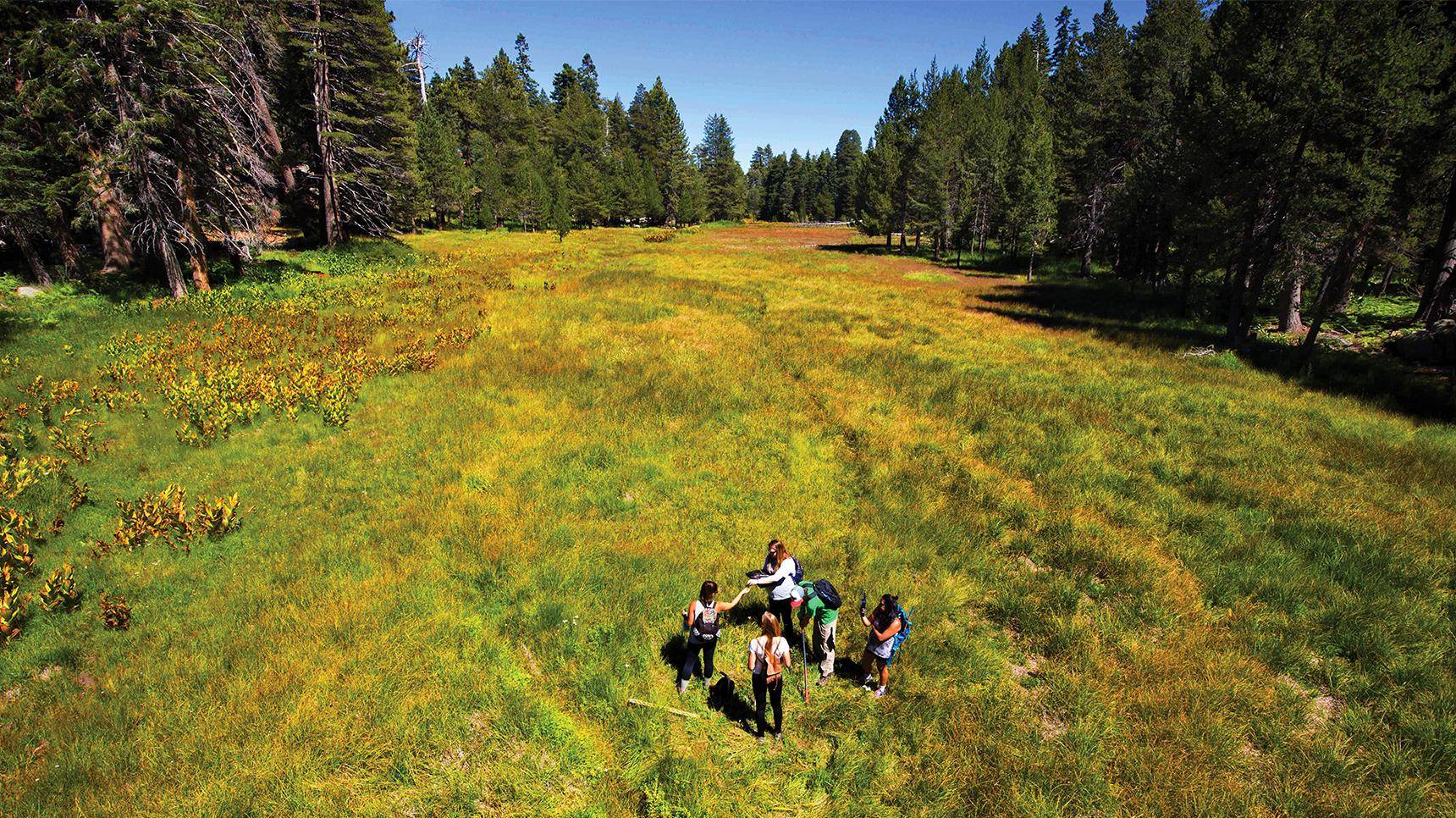 a group of people standing in a field