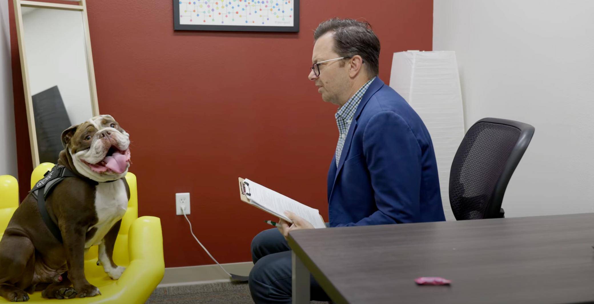 a person in a blue suit holding a clipboard