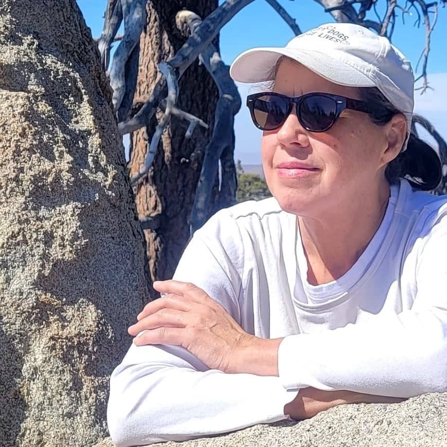 a person in sunglasses and a hat sitting on a rock
