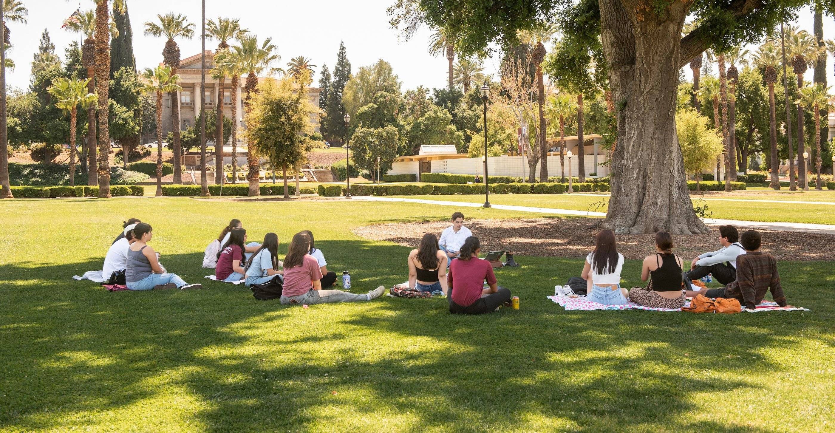 a group of people sitting on the grass