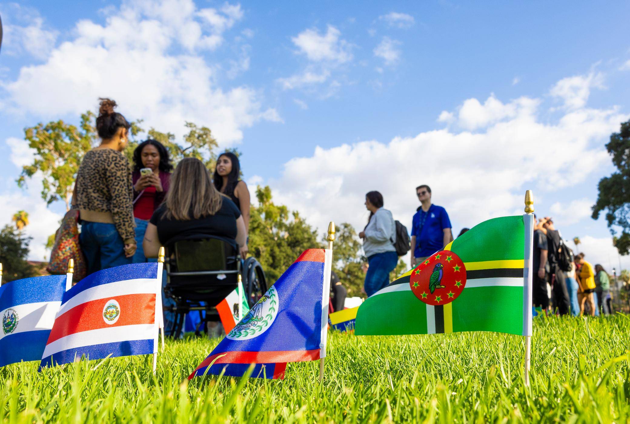 a group of people in a wheelchair in a grassy area with flags
