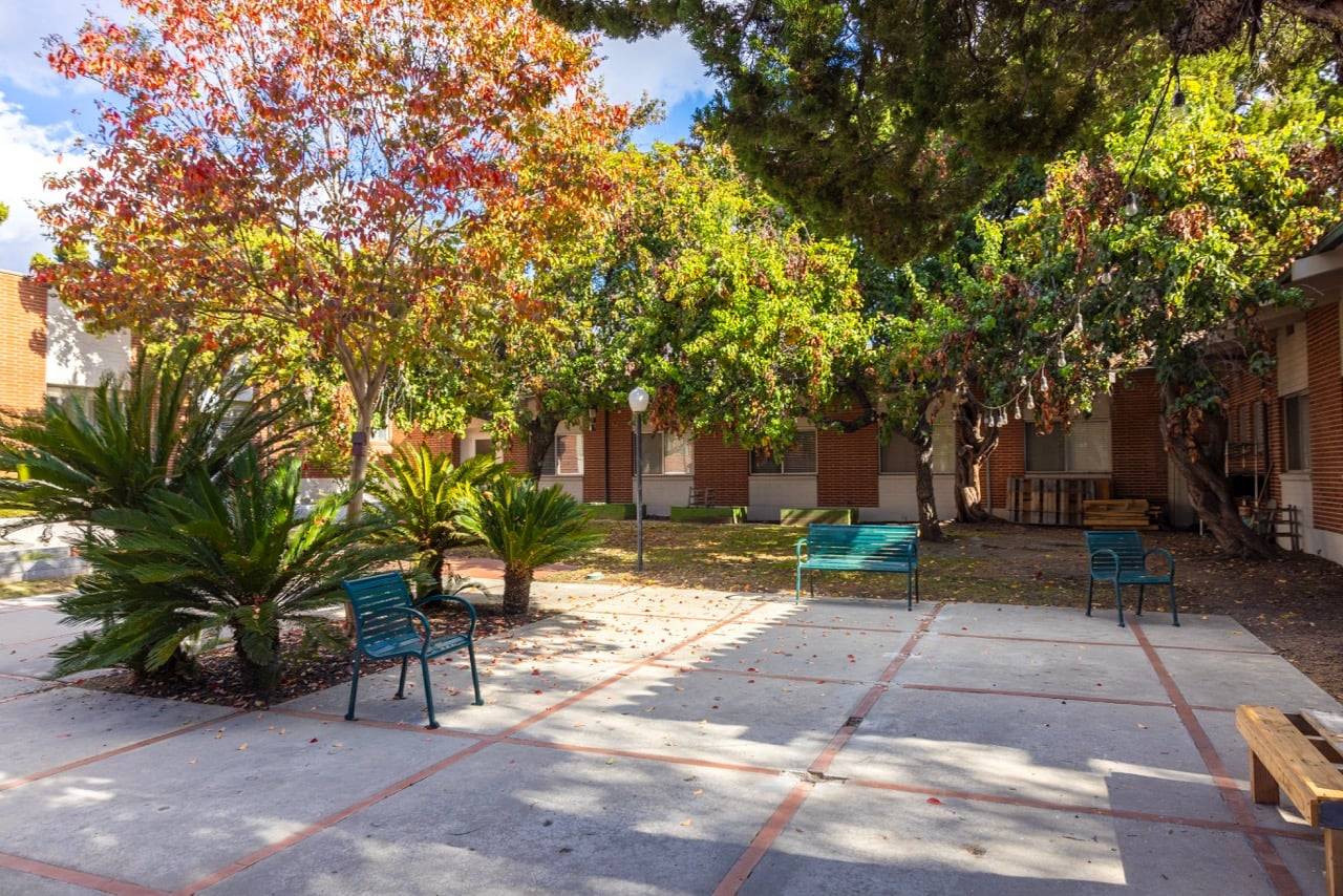 a group of benches and trees in front of a building