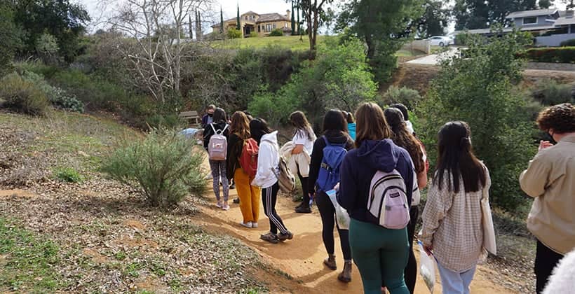 a group of people walking on a path