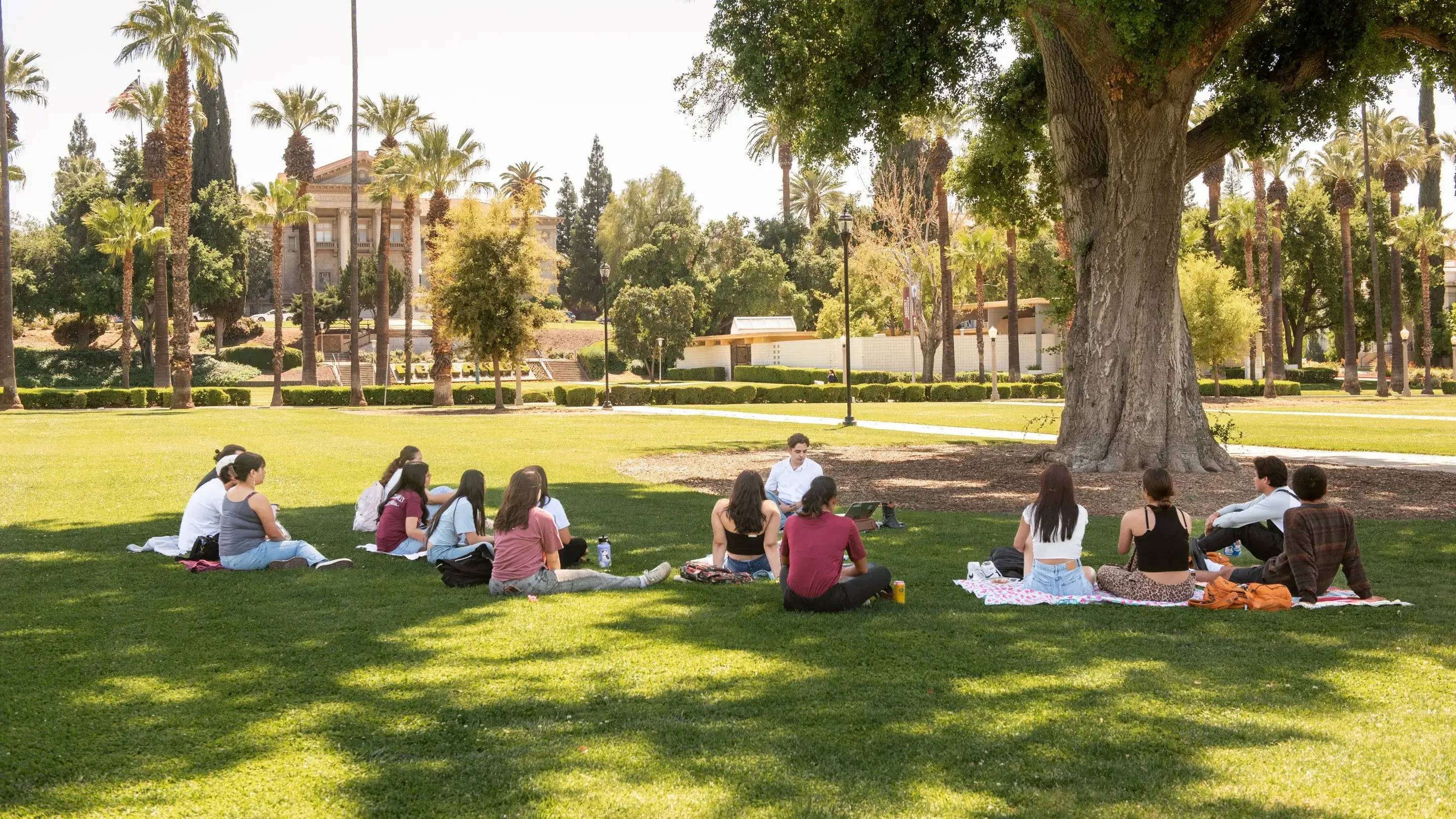 a group of people sitting on the grass
