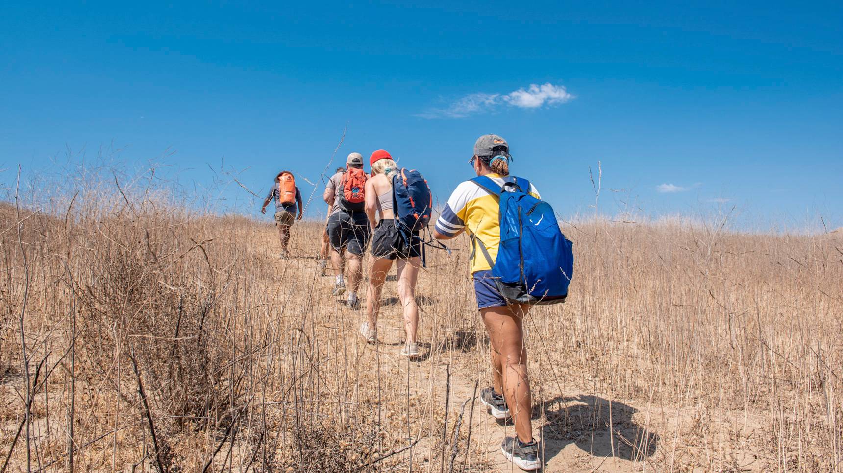 a group of people walking on a trail