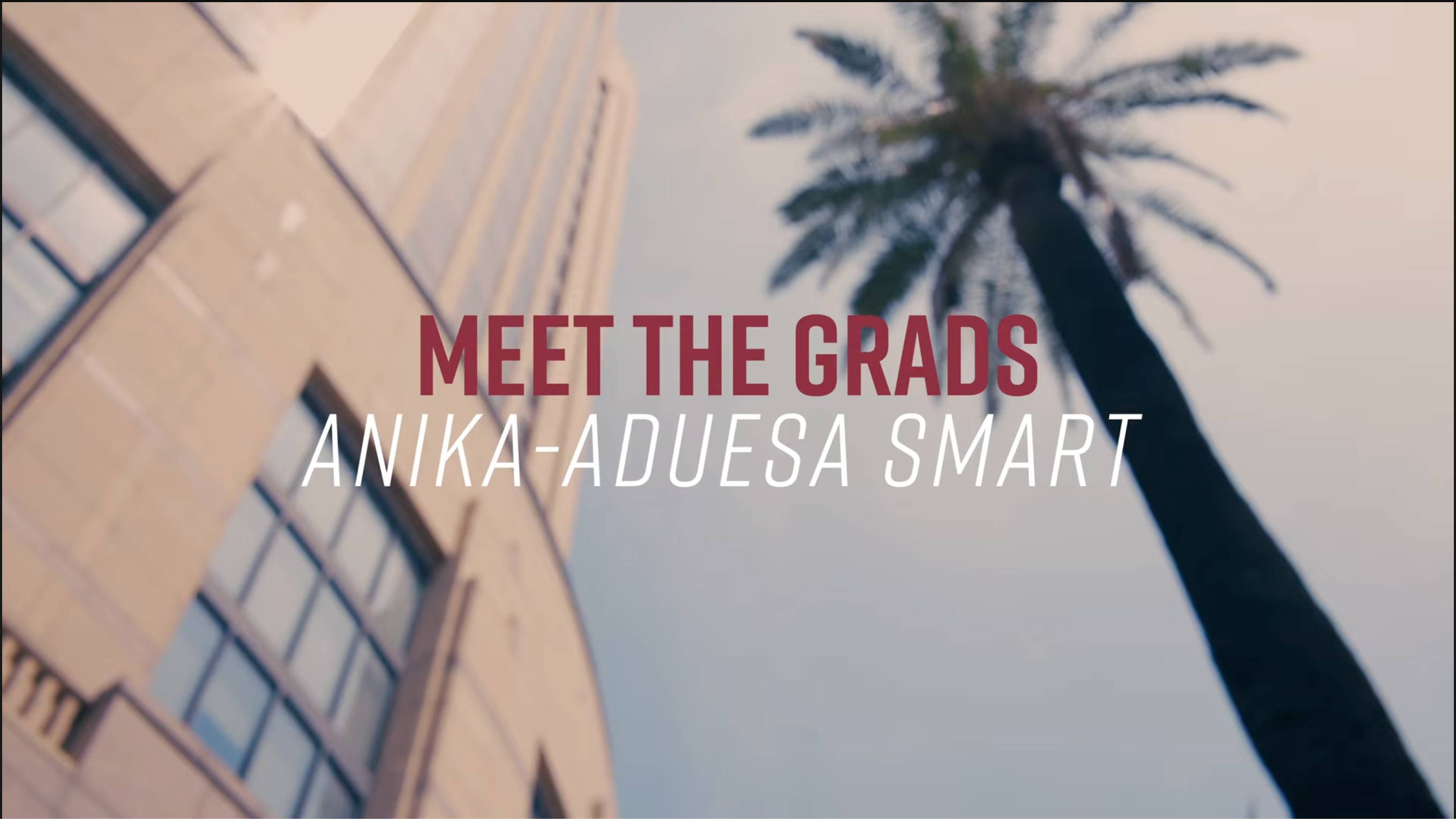 a tall building with a tall palm tree