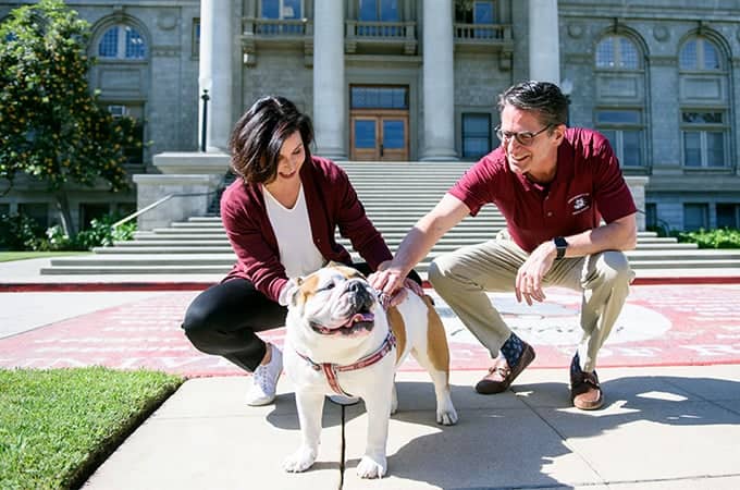 a person and person petting a dog