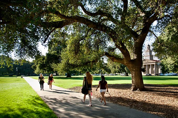 a group of people walking on a sidewalk under a large tree