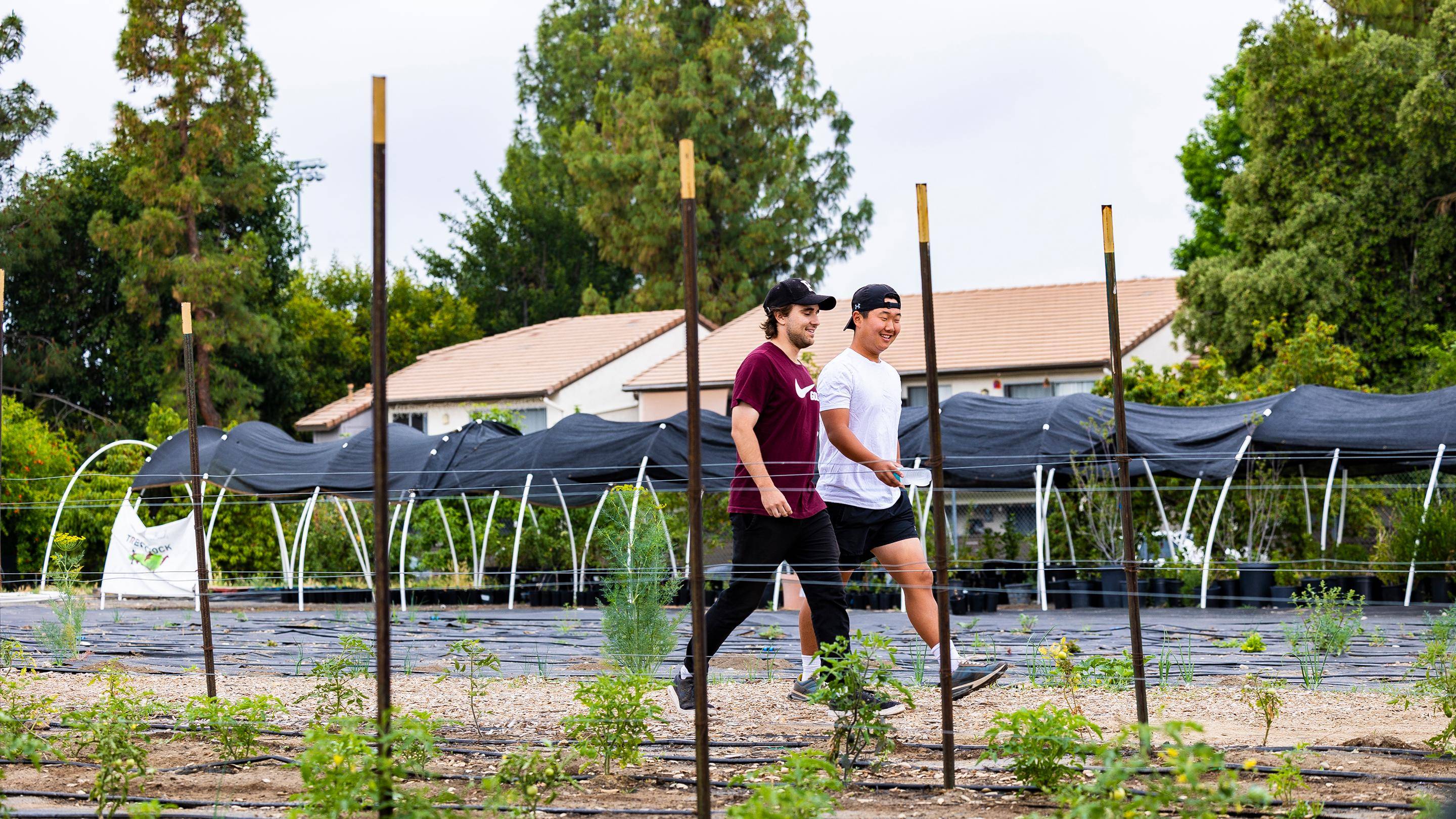 two men walking in a garden