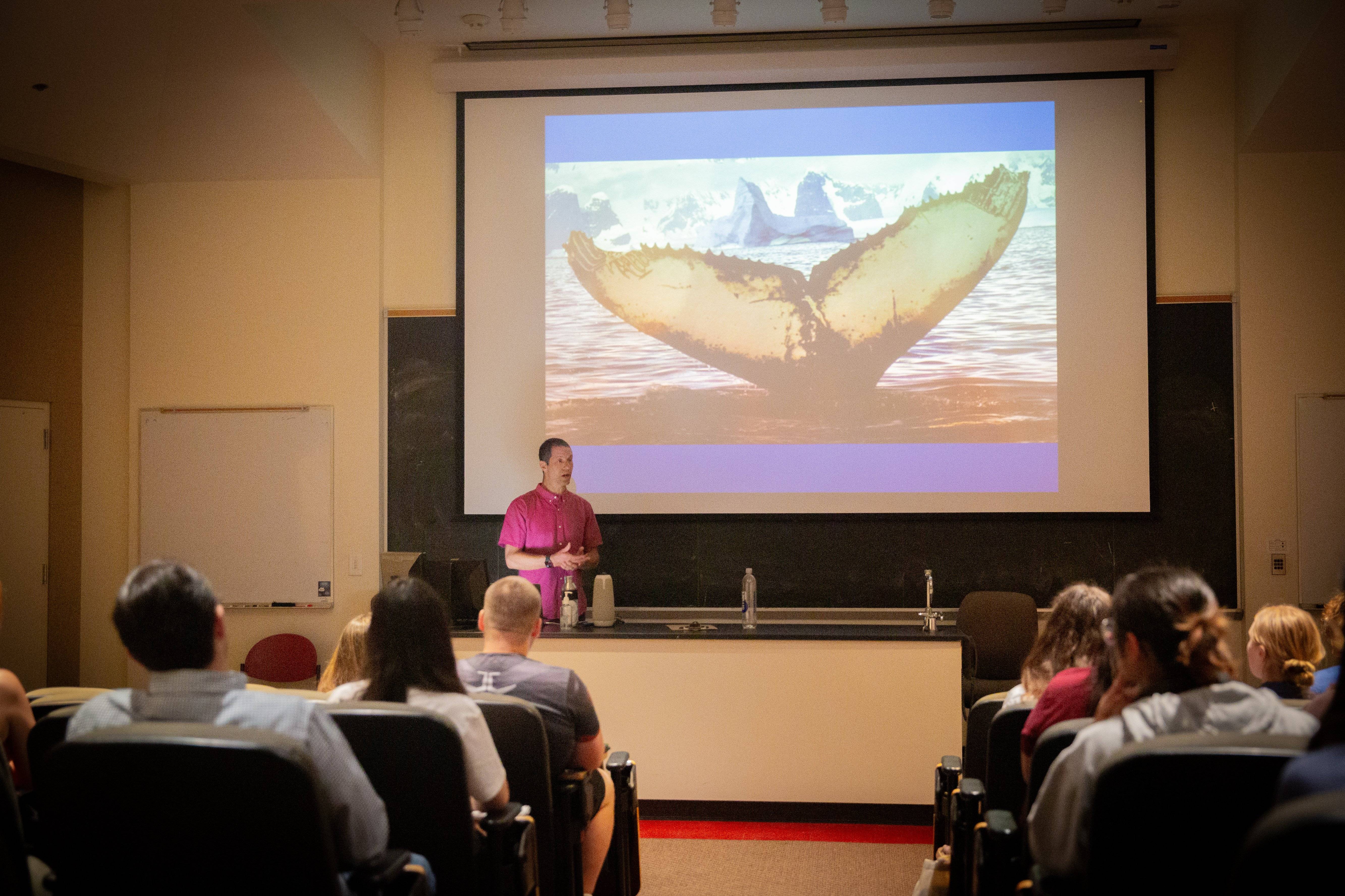 a person standing in front of a large screen
