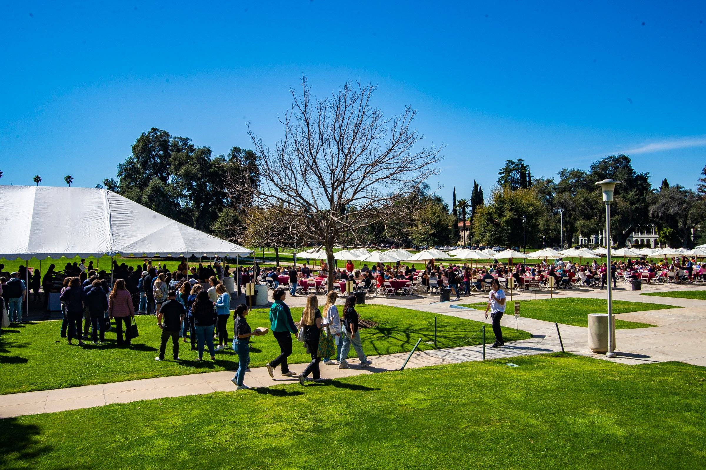 a group of people walking on a path in a park