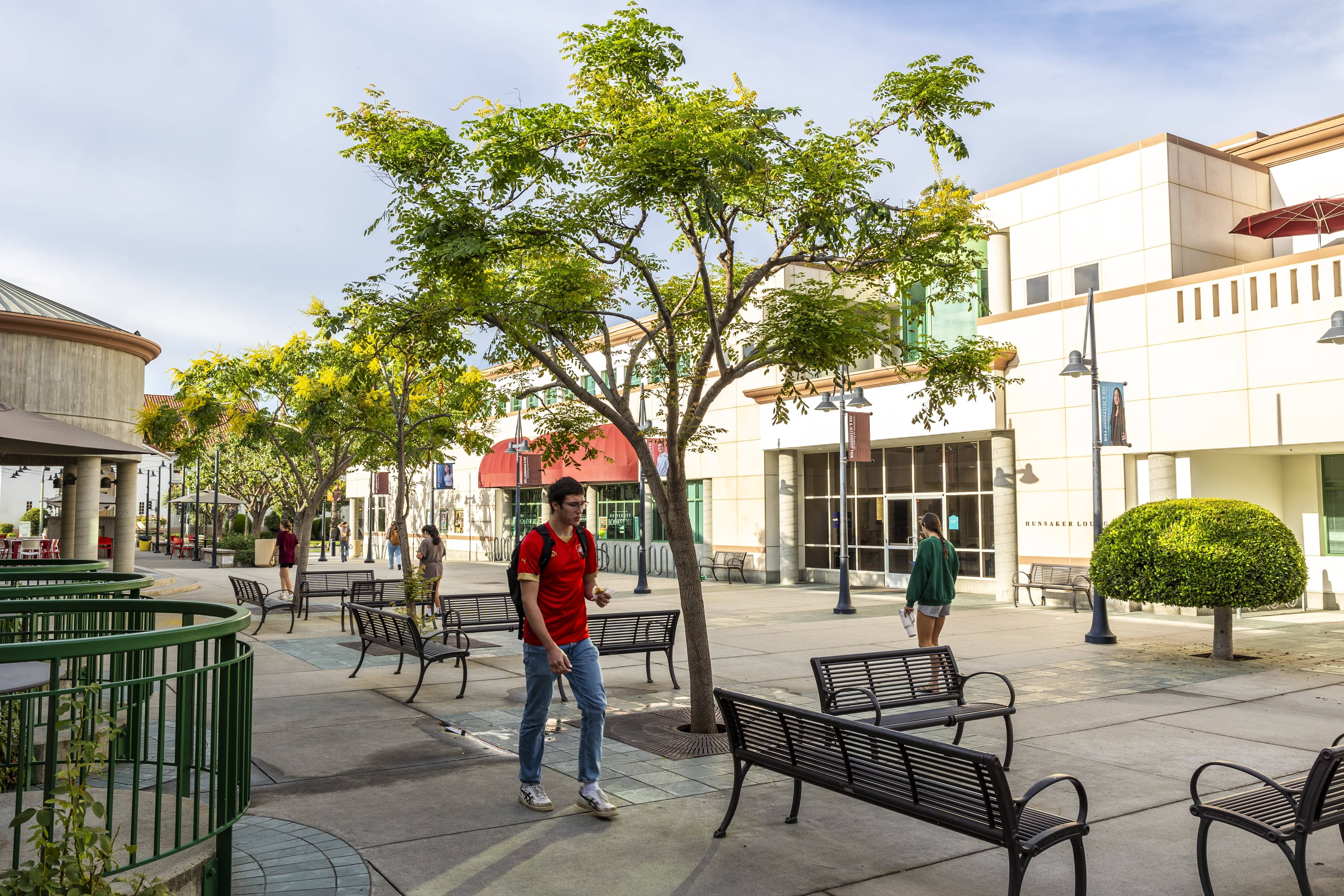 a person walking on a sidewalk with benches and trees