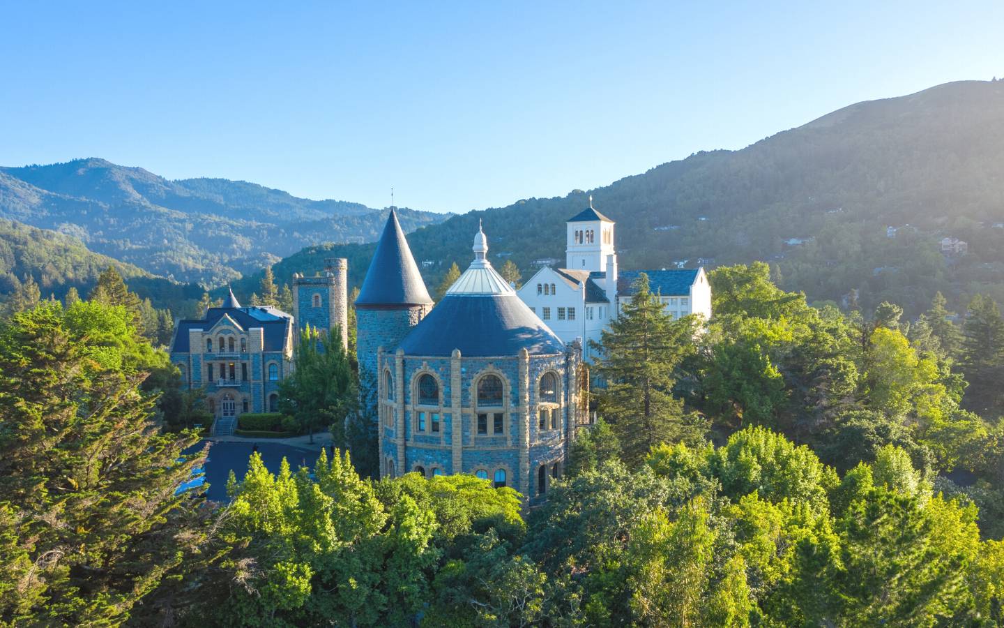 a building with a tower and a tower in the middle of a forest