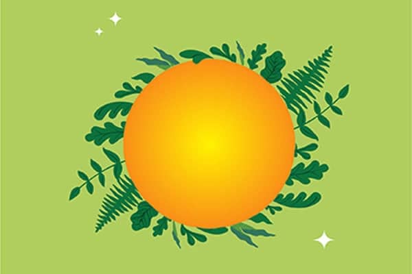 a yellow circle with green leaves around it