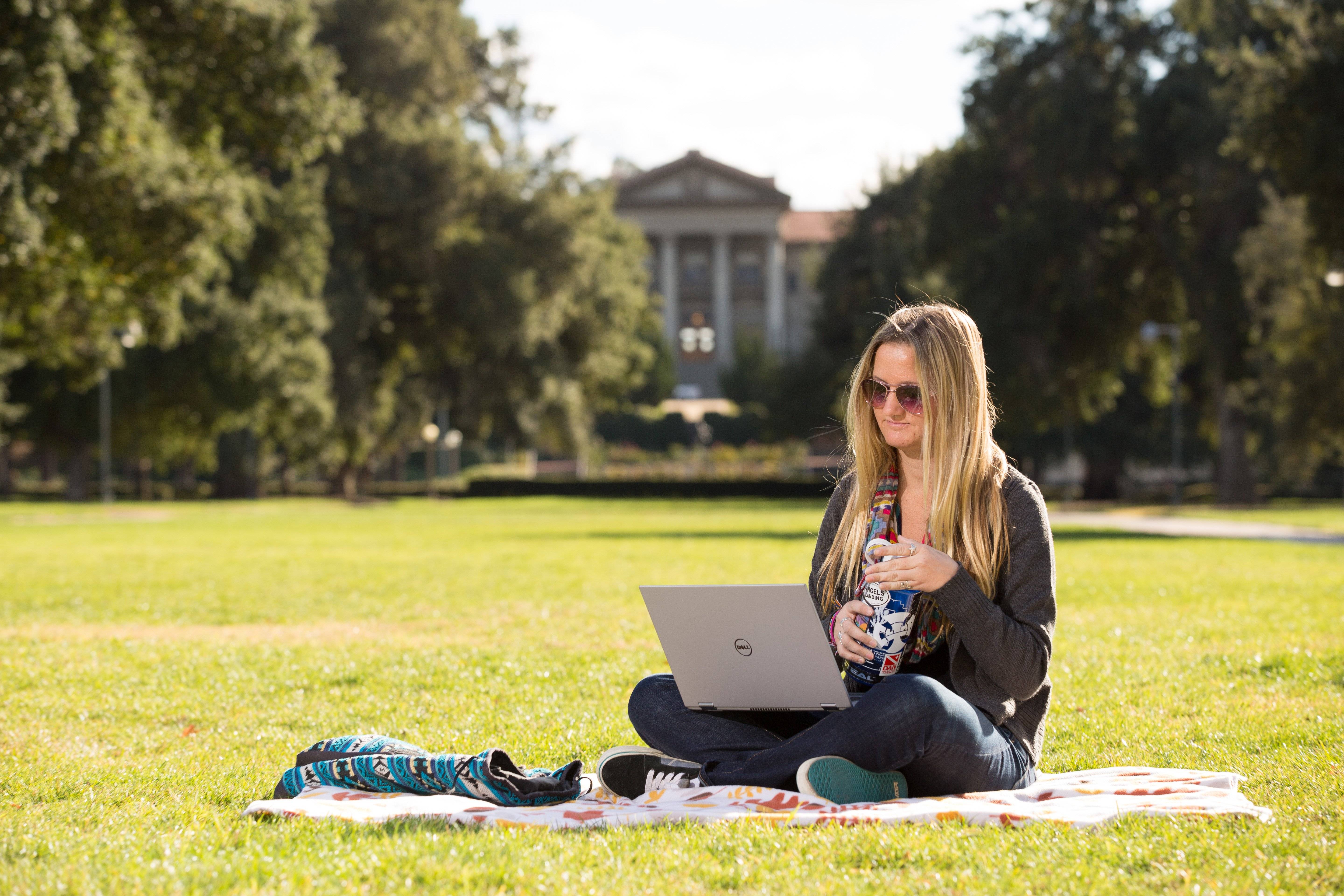 a person sitting on a blanket in a park with a laptop