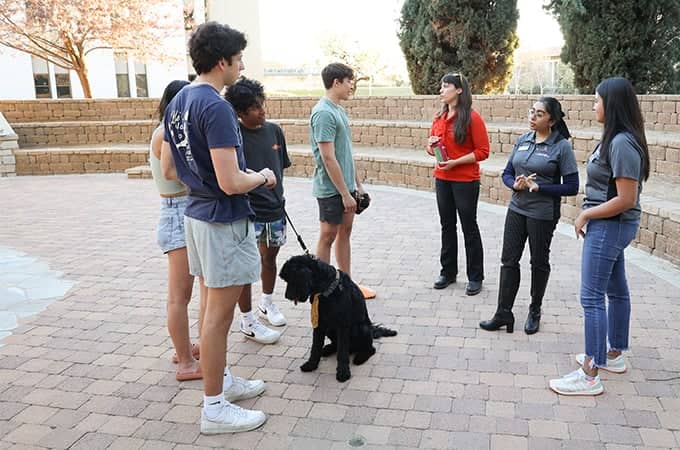 a group of people standing around a dog