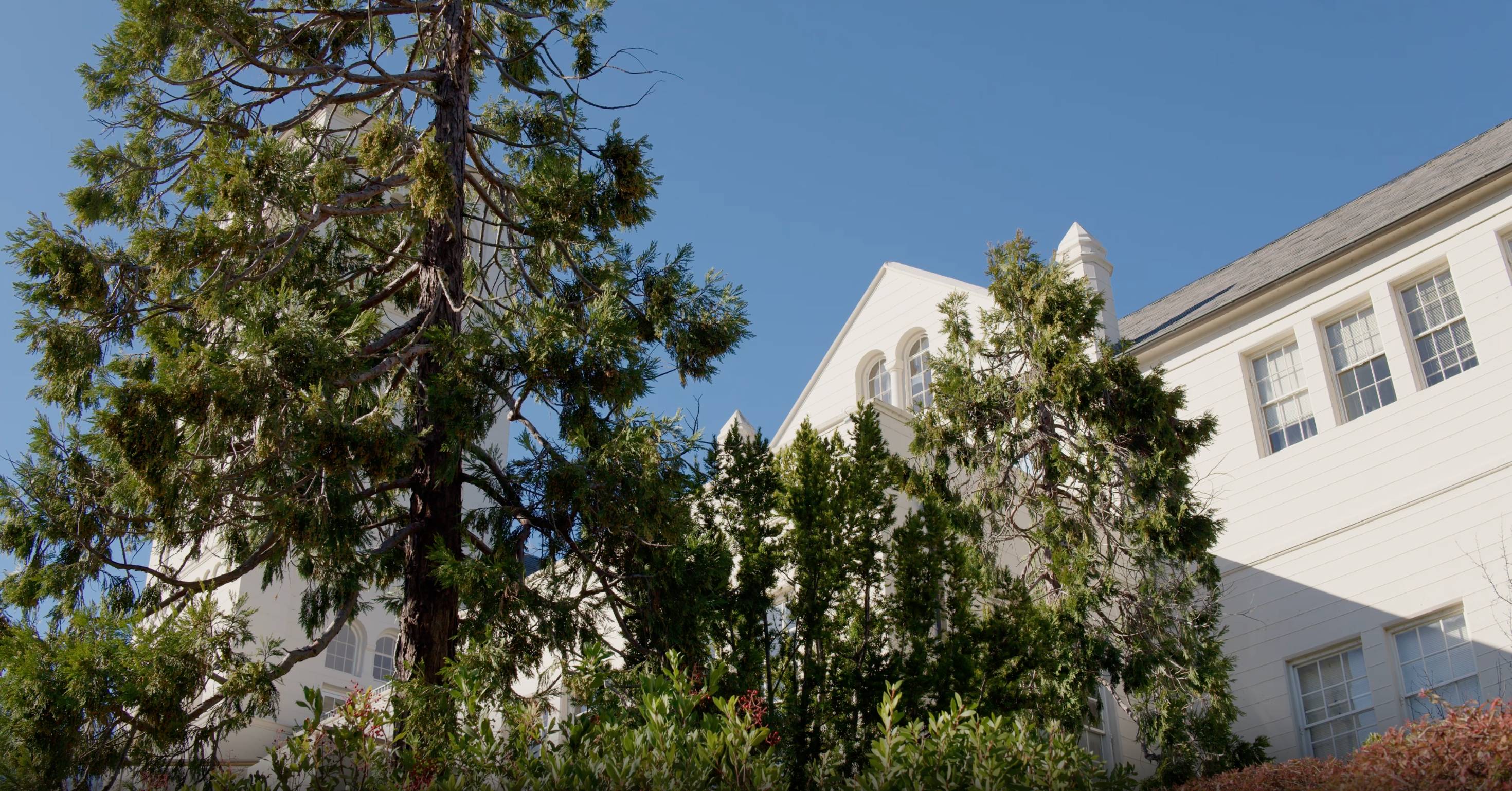 a white building with trees in front of it