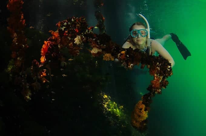 a person in goggles underwater