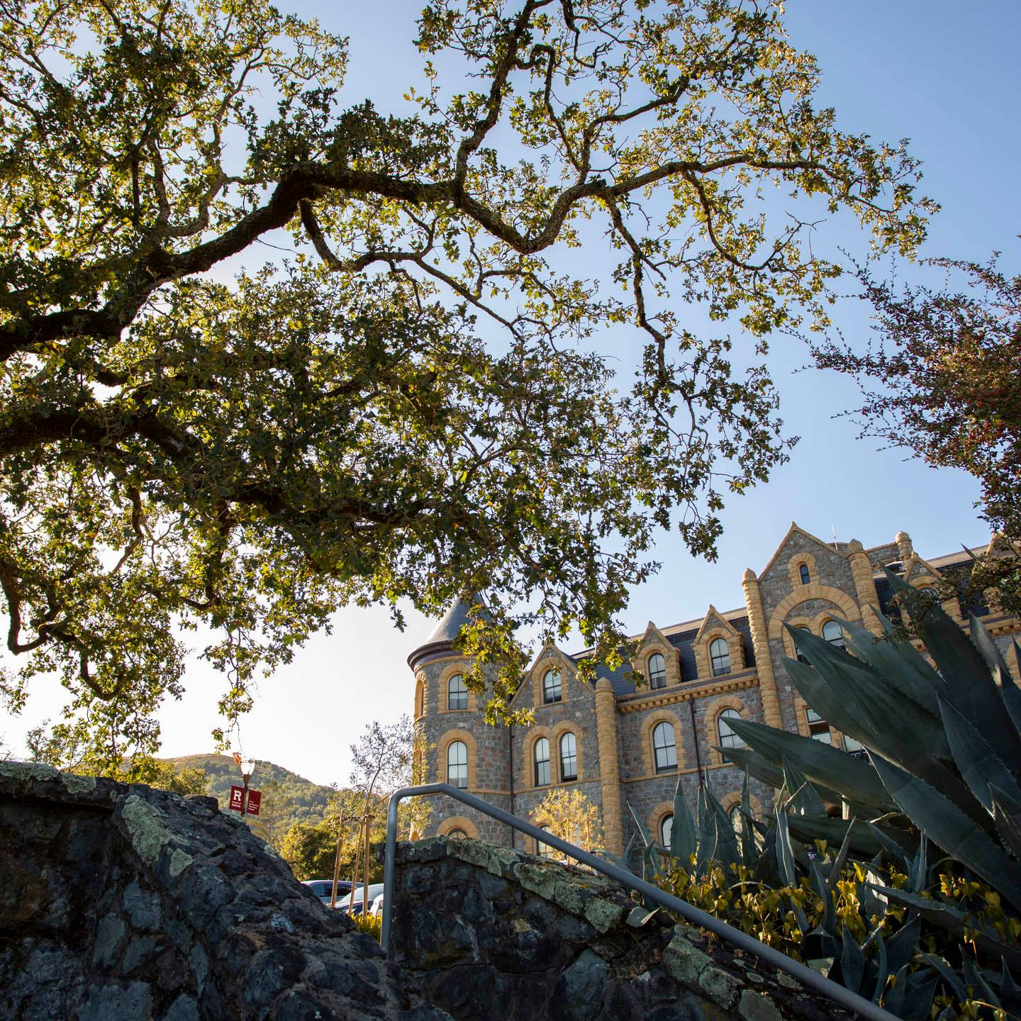 a tree next to a building