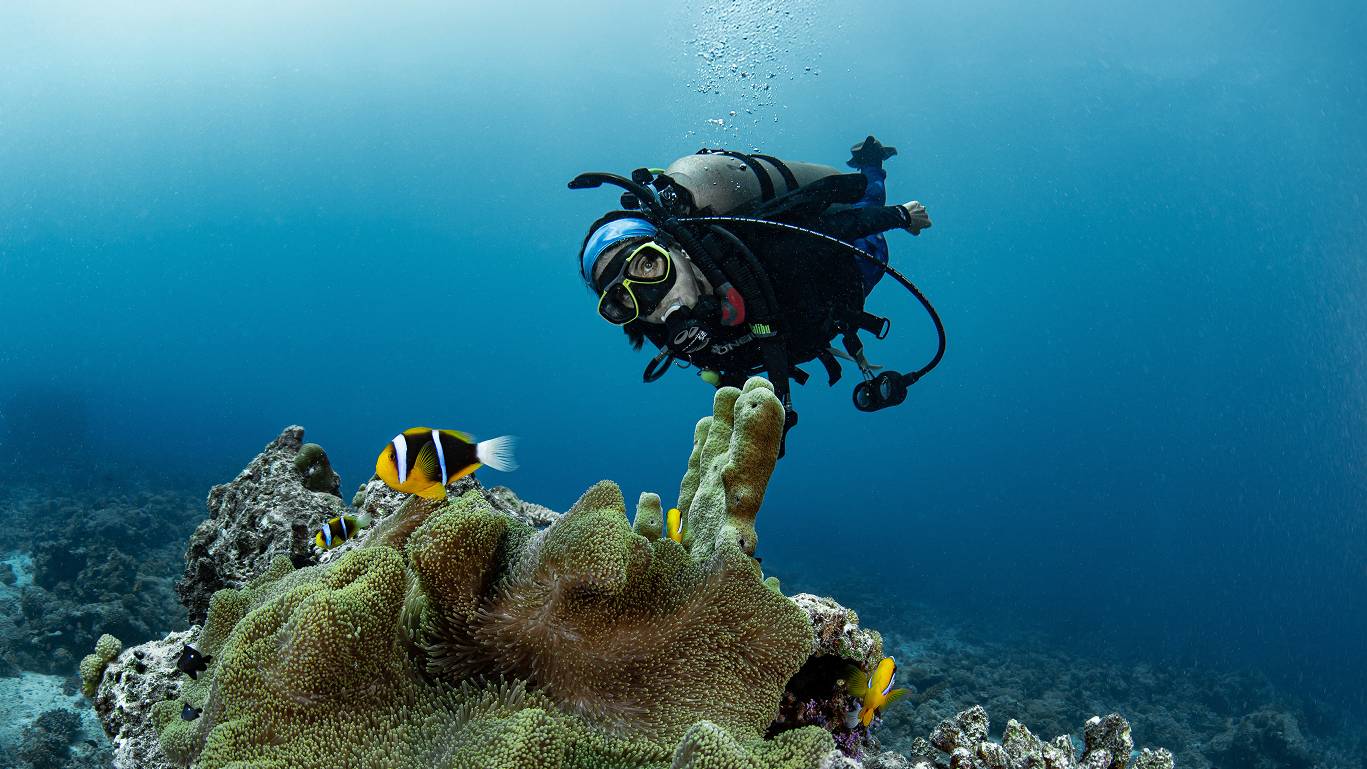 a person in a scuba gear swimming under water