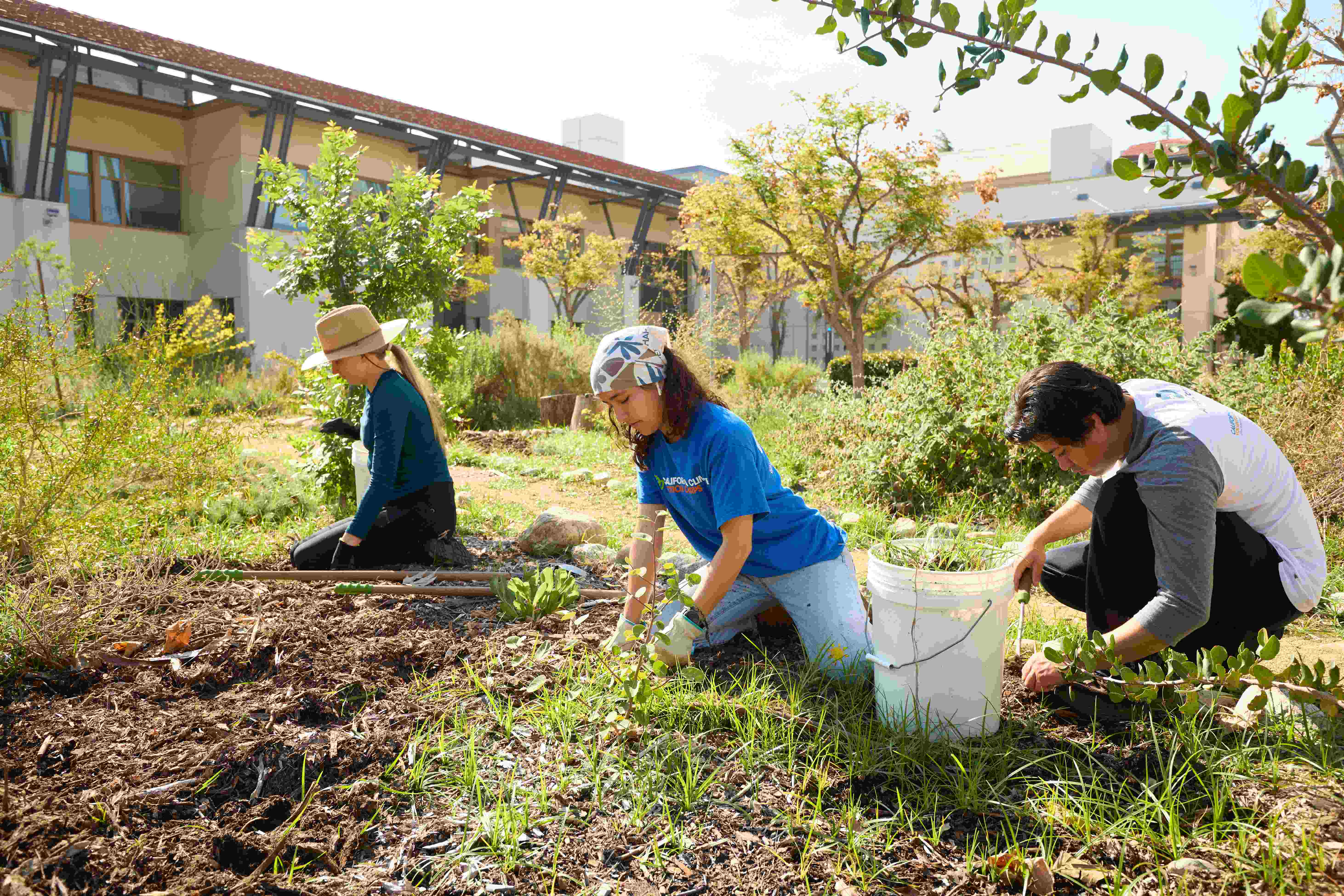 a group of people working in a garden
