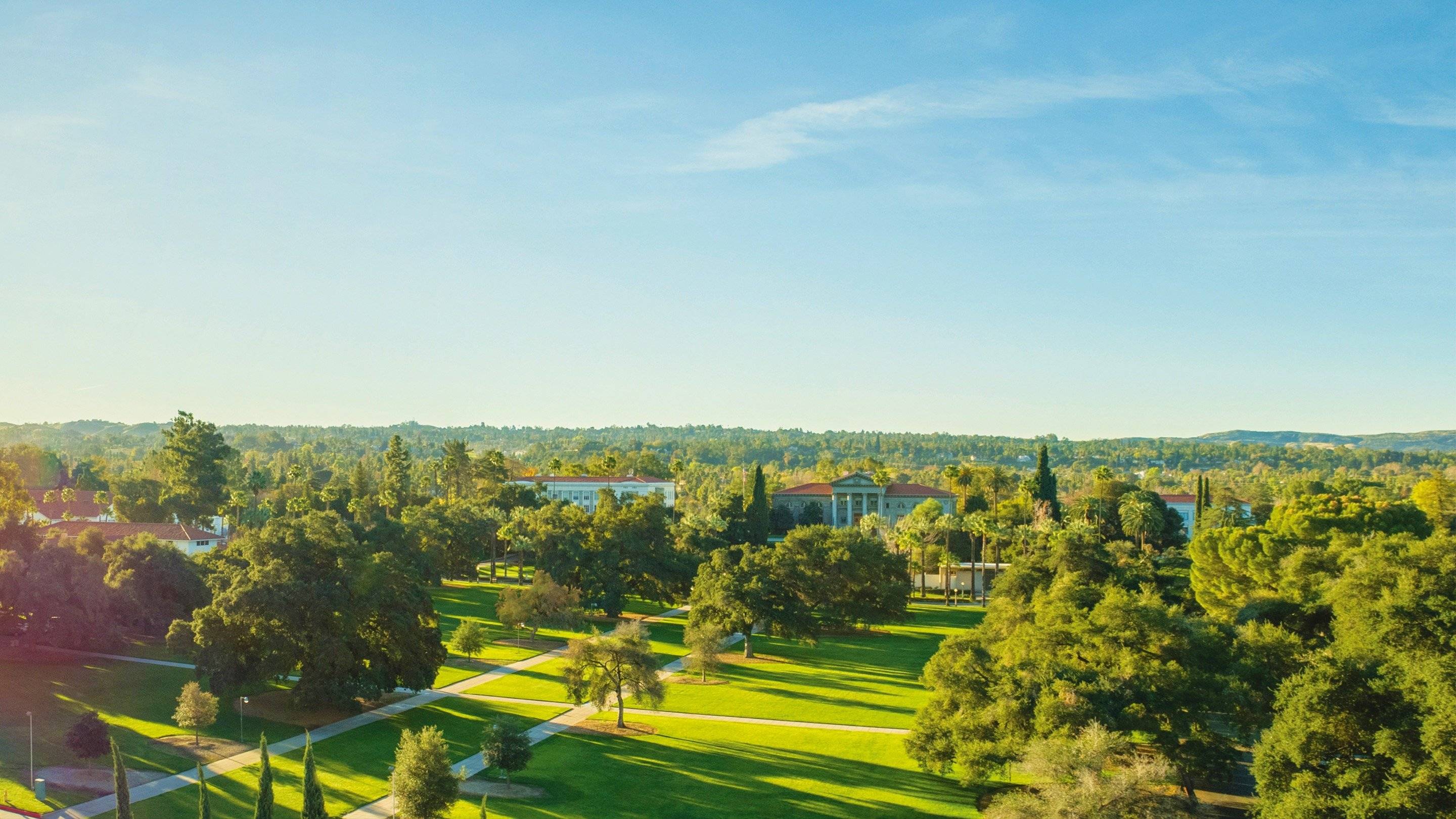 a green lawn with trees and buildings in the background