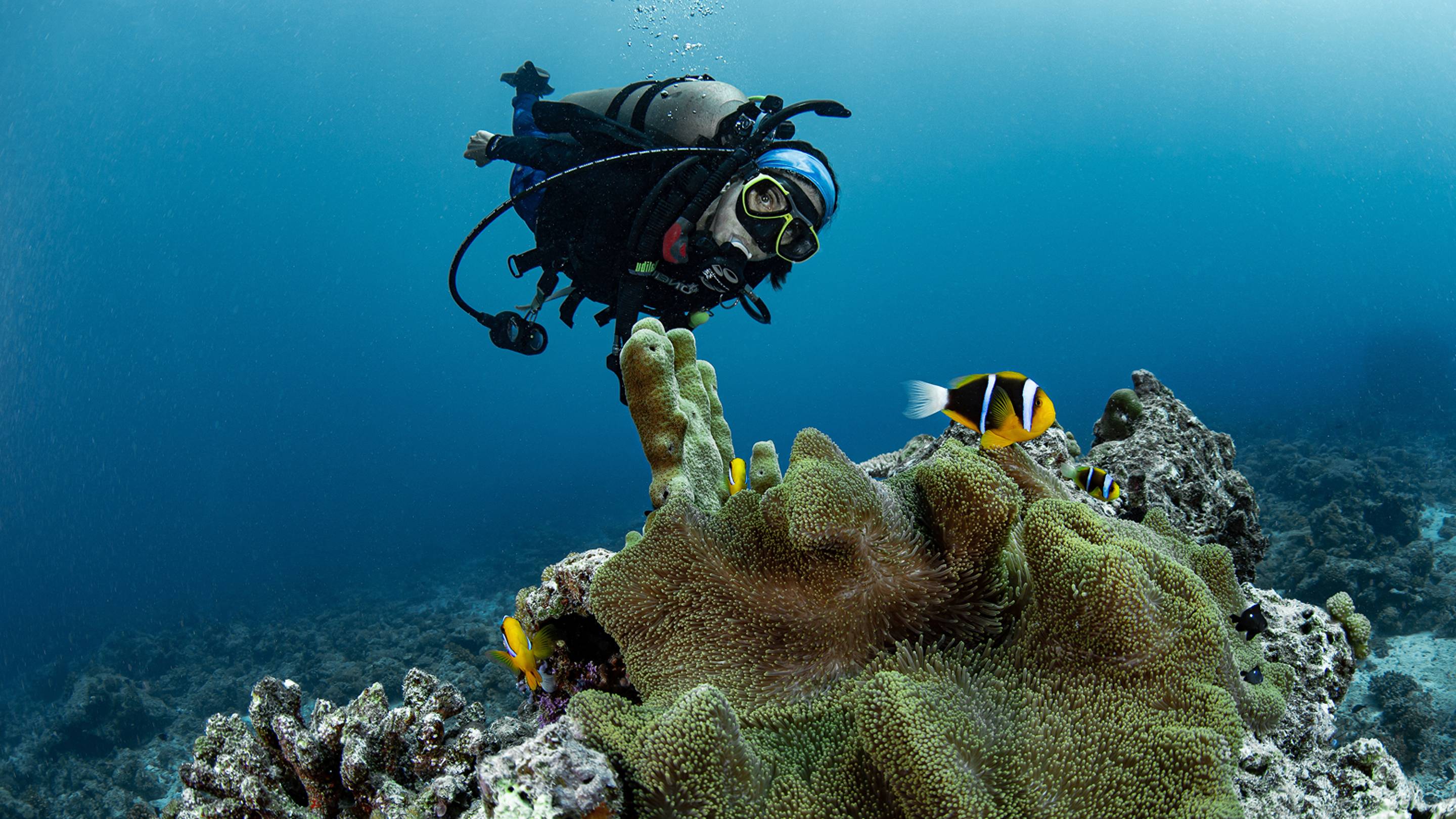 a scuba diver swimming under water