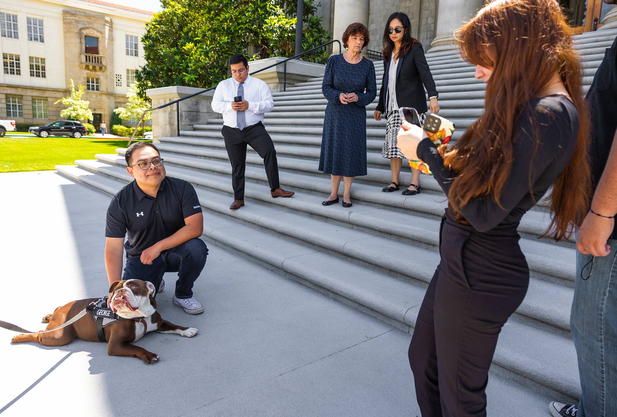 a person taking a picture of a dog on stairs