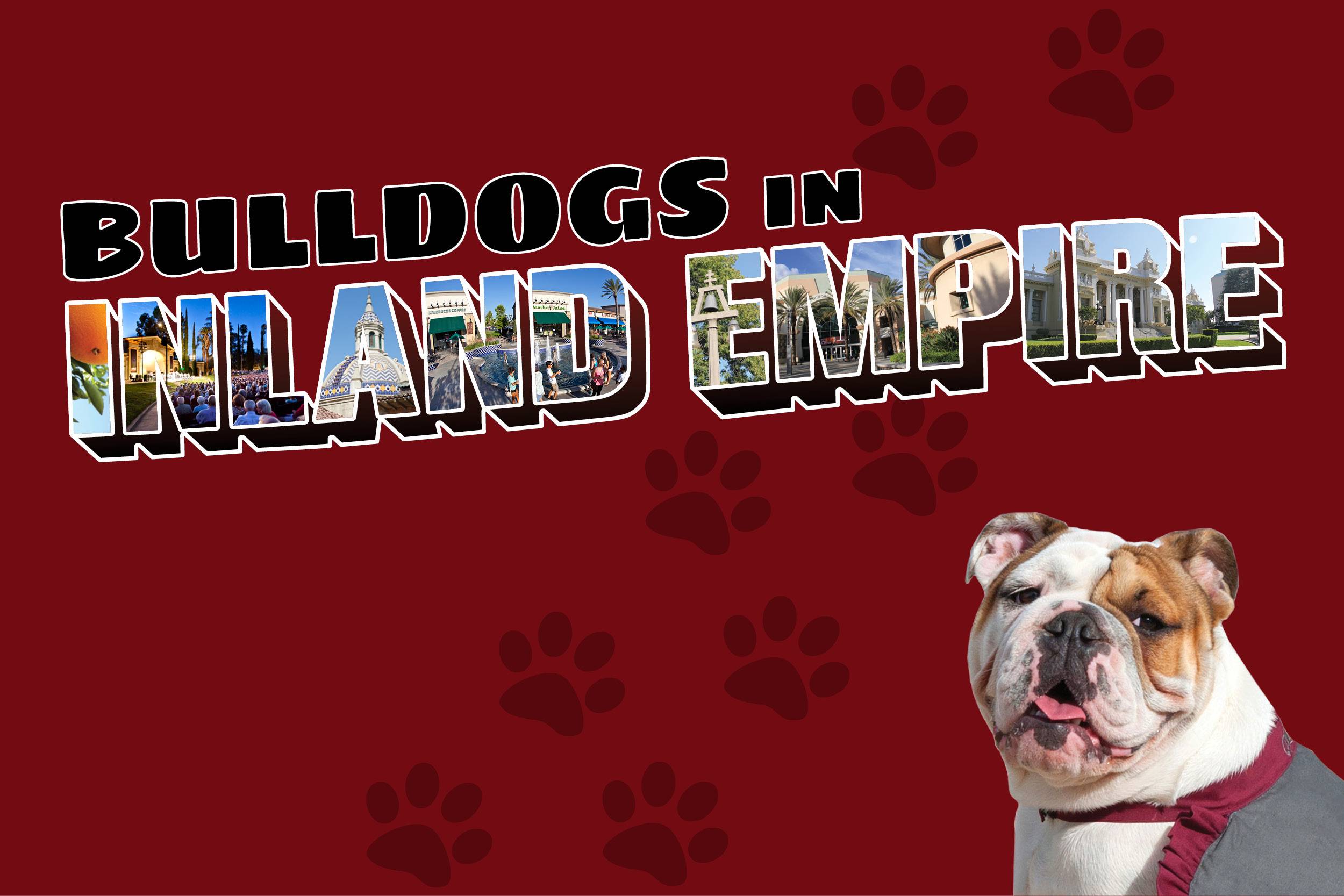 a dog with its tongue out