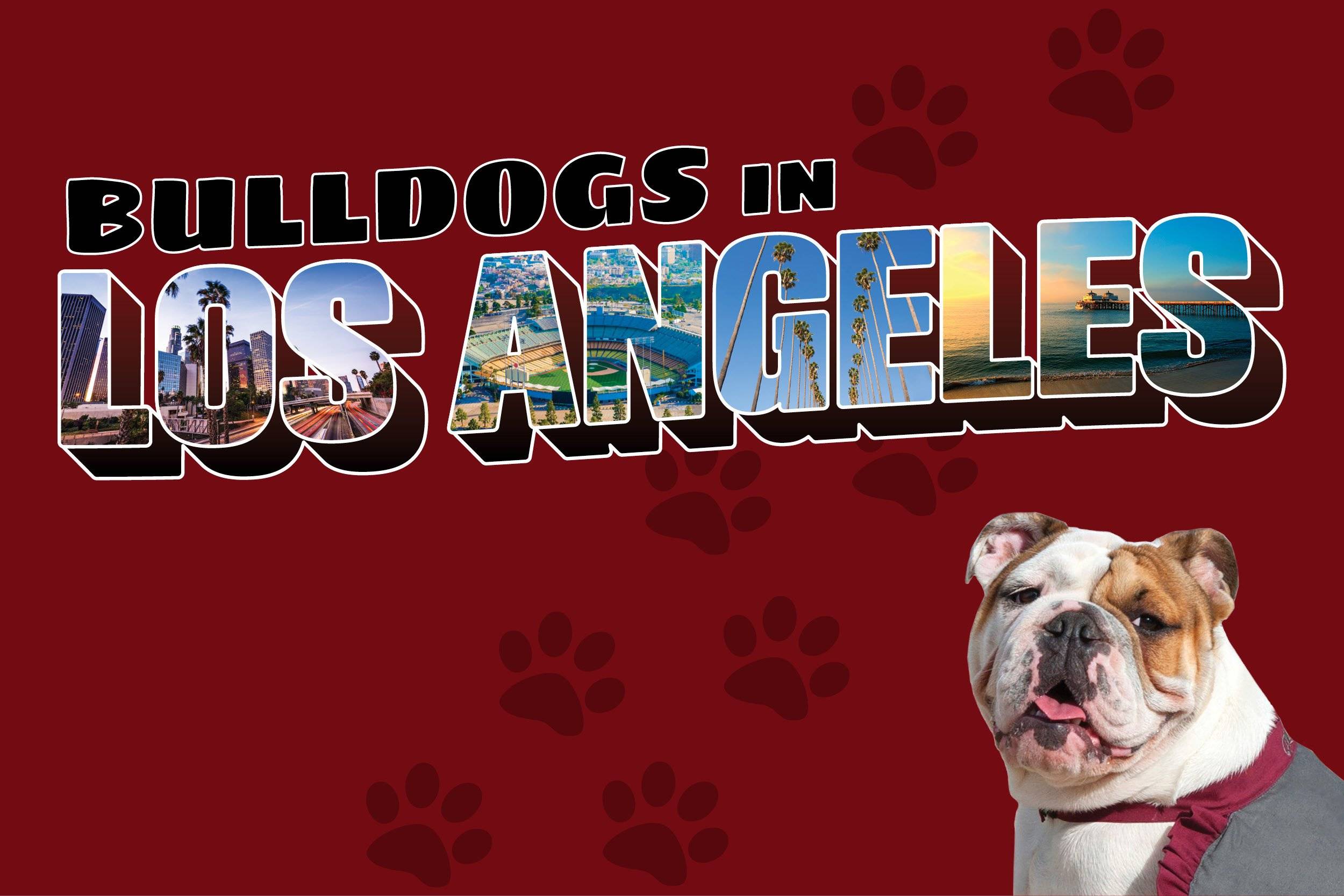 a dog with its tongue out