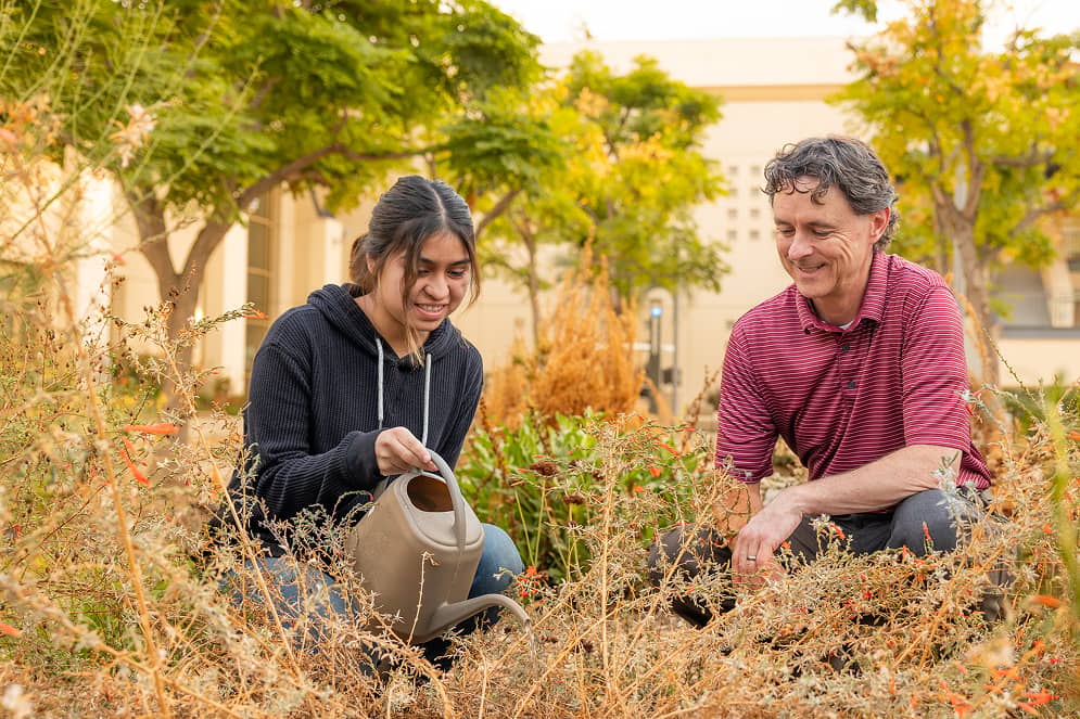 a person and person watering plants
