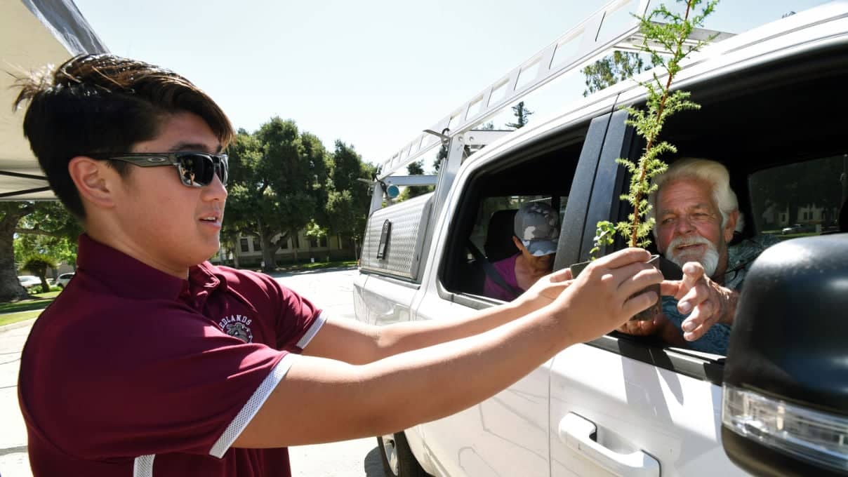 a person holding a plant in the window of a truck