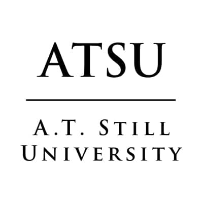 a close-up of a logo