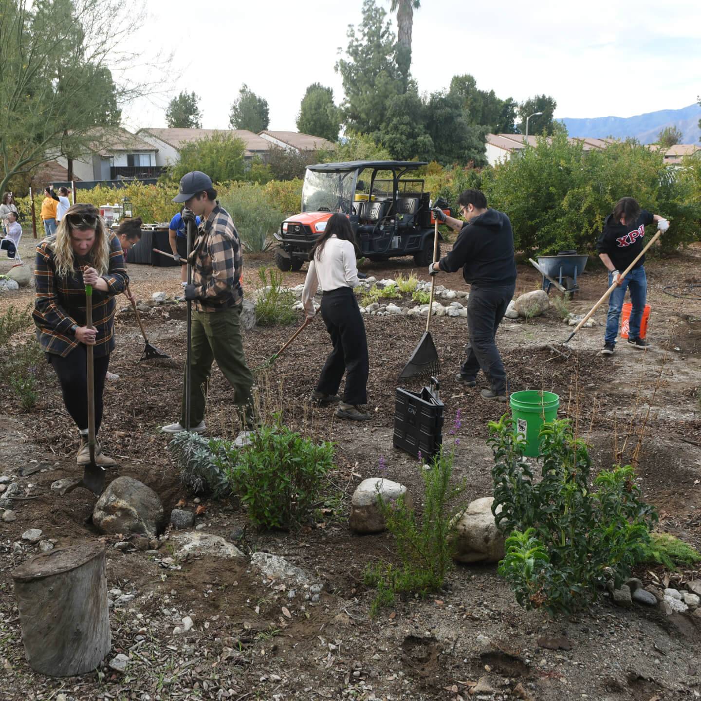 a group of people digging in a garden