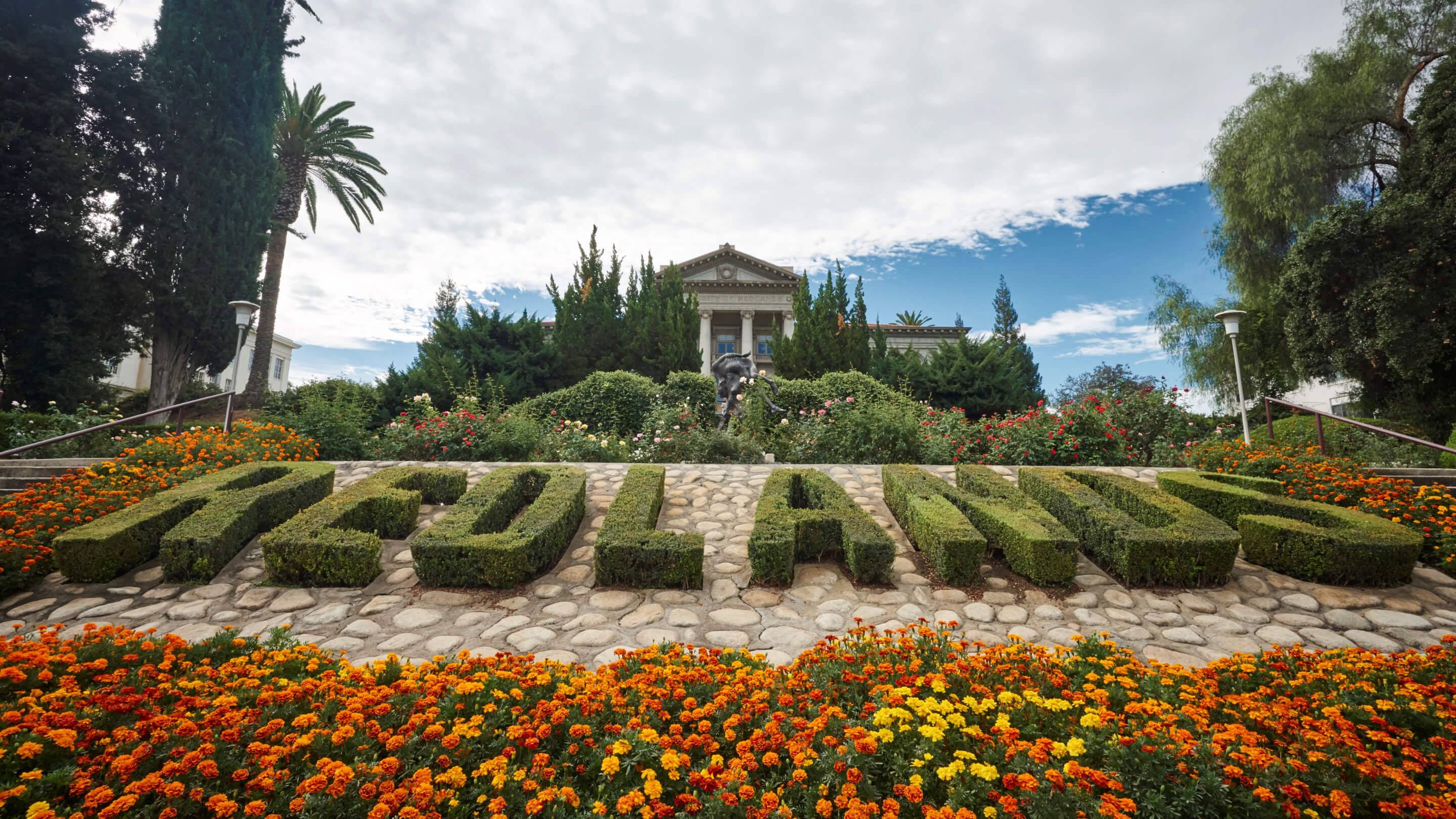 a garden with bushes and flowers